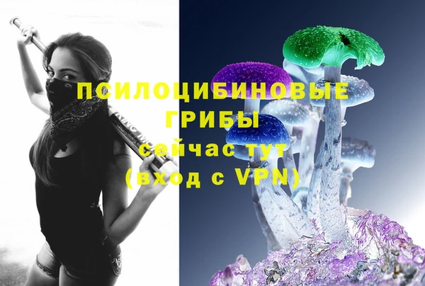 соль курить ск Арсеньев