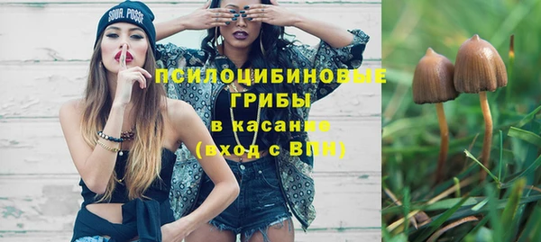 Альфа ПВП Армянск