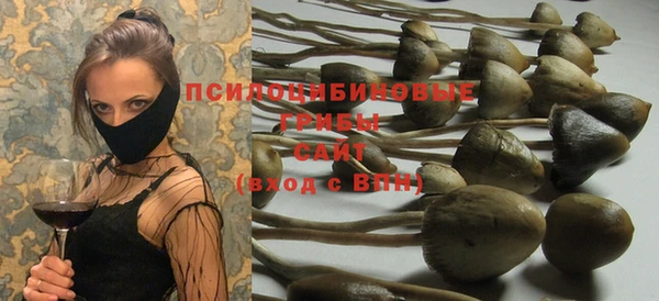 соль курить ск Арсеньев